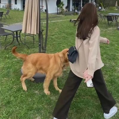 芦苇之歌