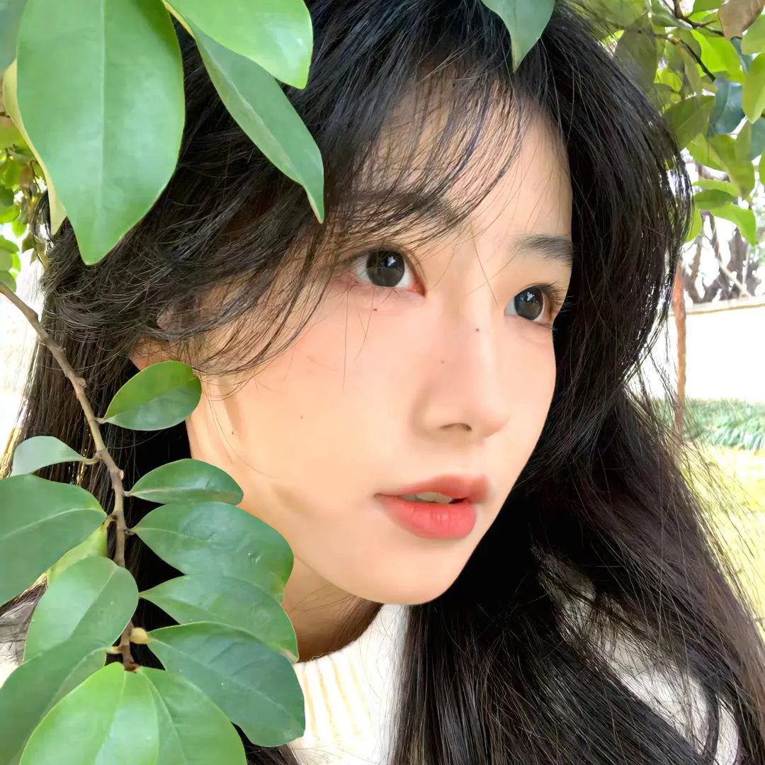光荣岁月